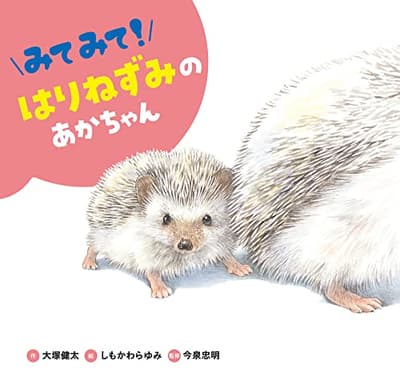 みてみて!はりねずみのあかちゃんの表紙