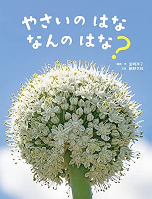 やさいのはななんのはな?の表紙