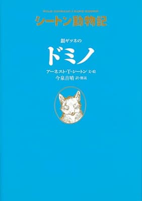 銀ギツネのドミノの表紙