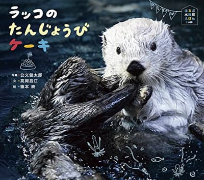 ラッコのたんじょうびケーキの表紙