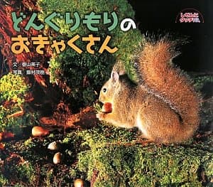どんぐりもりのおきゃくさんの表紙
