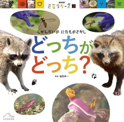 どっちが どっち？ : しぜんかいの にたものさがしの表紙